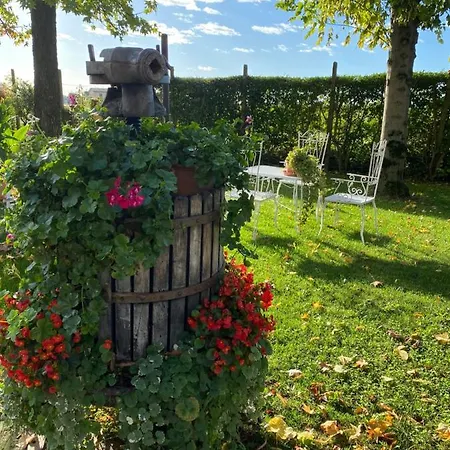 Il Canto Del Gallo * Zenson di Piave