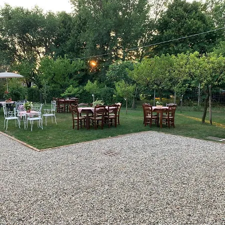 Il Canto Del Gallo *