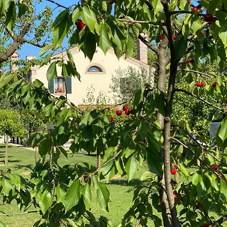 Bed & Breakfast Il Canto Del Gallo