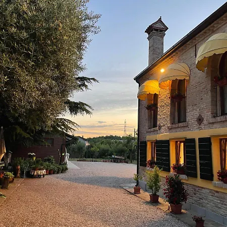 Il Canto Del Gallo *